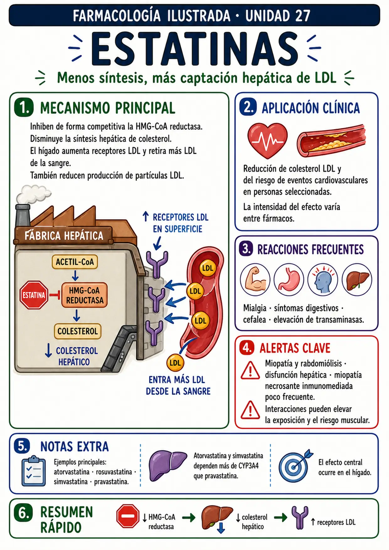 Mapa visual de estatinas